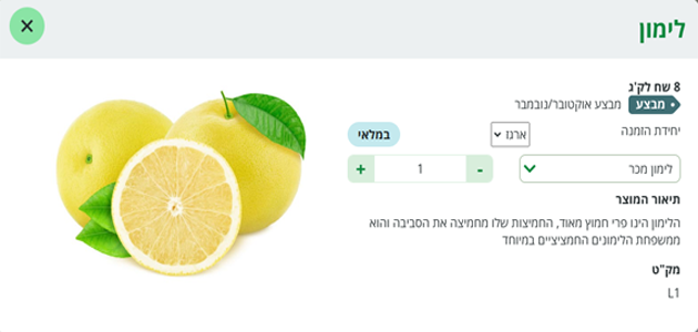 הצגה כפריט אב ופריטי בן