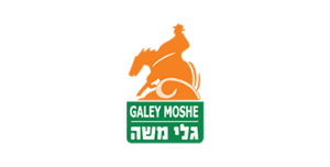 גלי משה