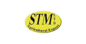 Stm_Logo